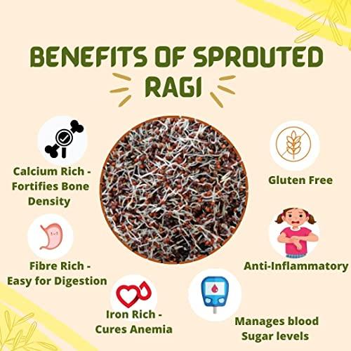 Sprouted Feast Sprouted Ragi Flour