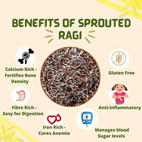 Sprouted Feast Sprouted Ragi Flour