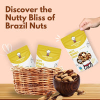 Brazil Nuts - Rich in Nutrition