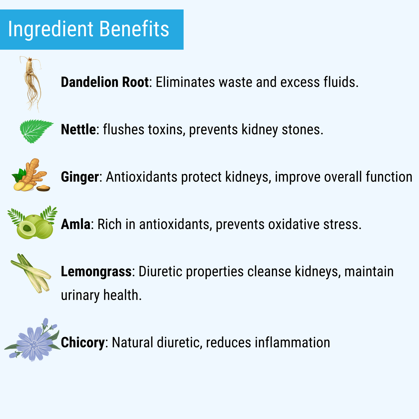 Kidney Support Tea