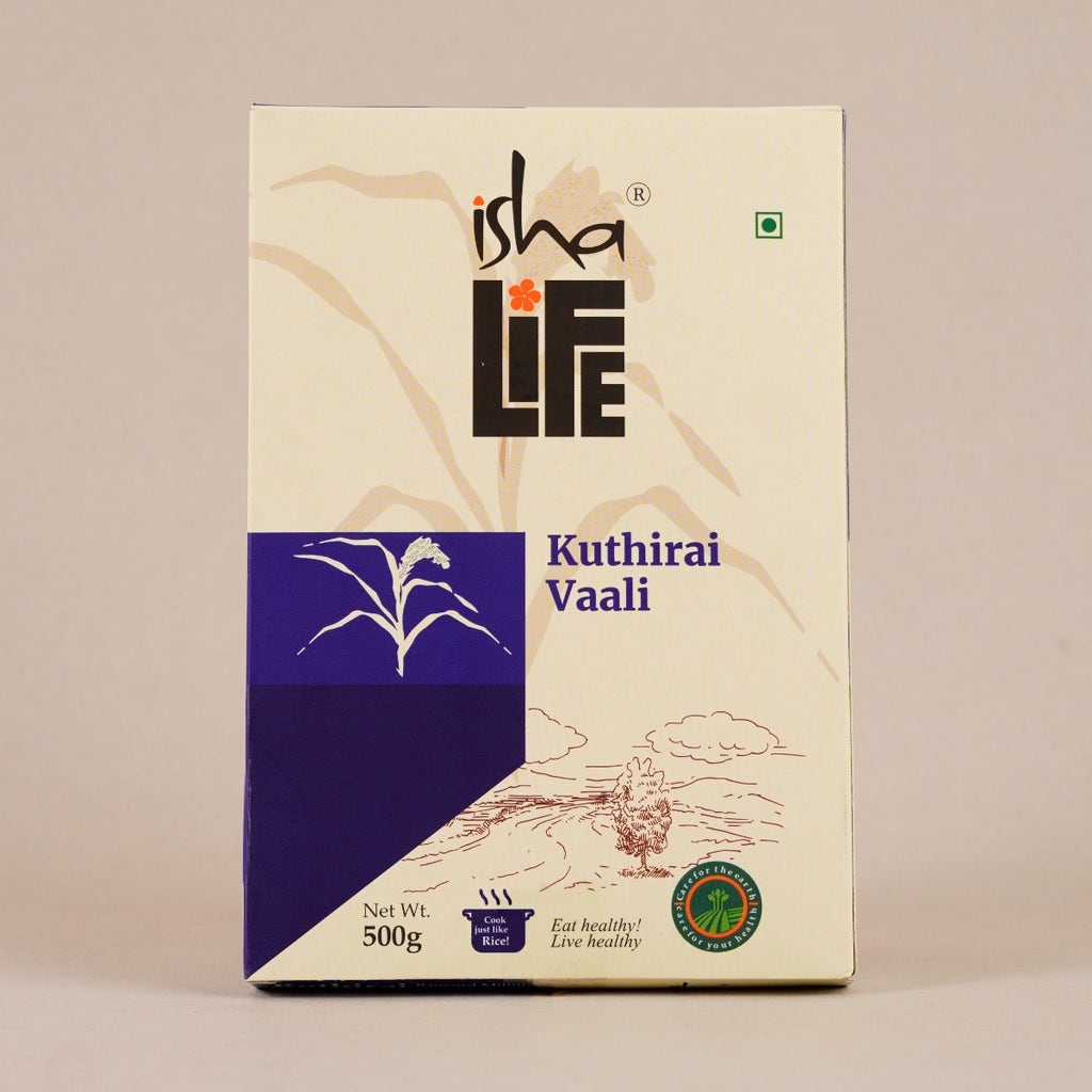 Isha Life Kuthiraivali (Barnyard Millet / Sama Rice for Fasting) - 500 ...