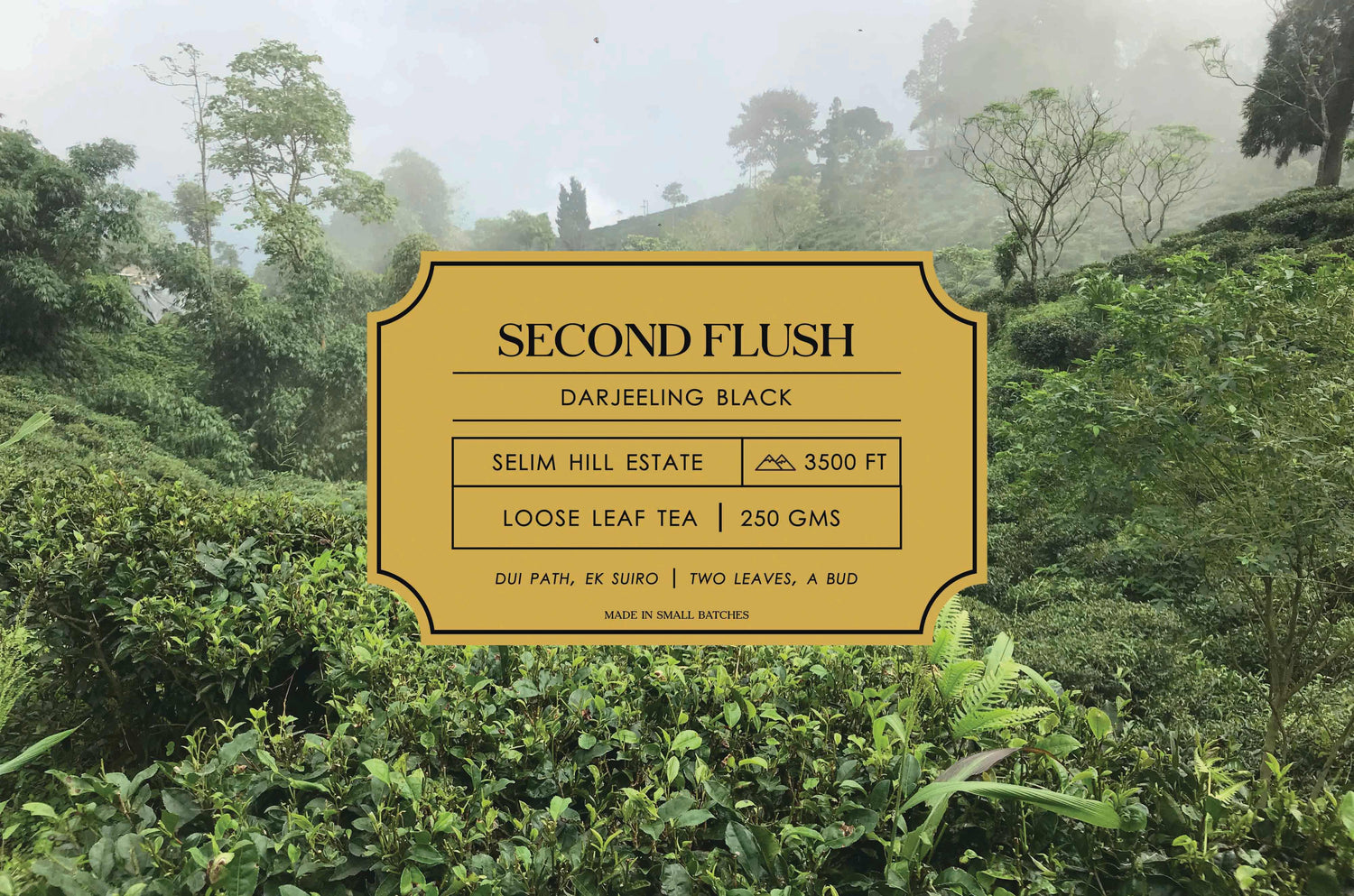 Second Flush – Darjeeling Tea