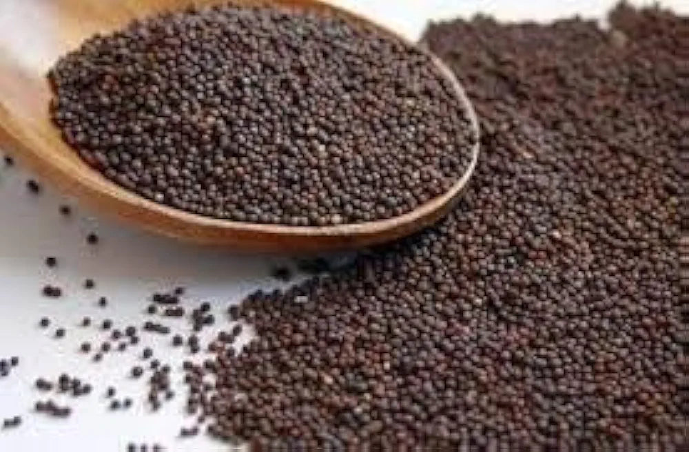 Spice Emporium/Mustard Seeds/Rai/ 250gm