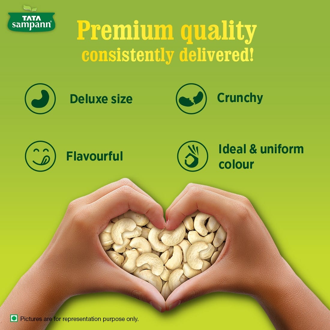 Premium Cashews