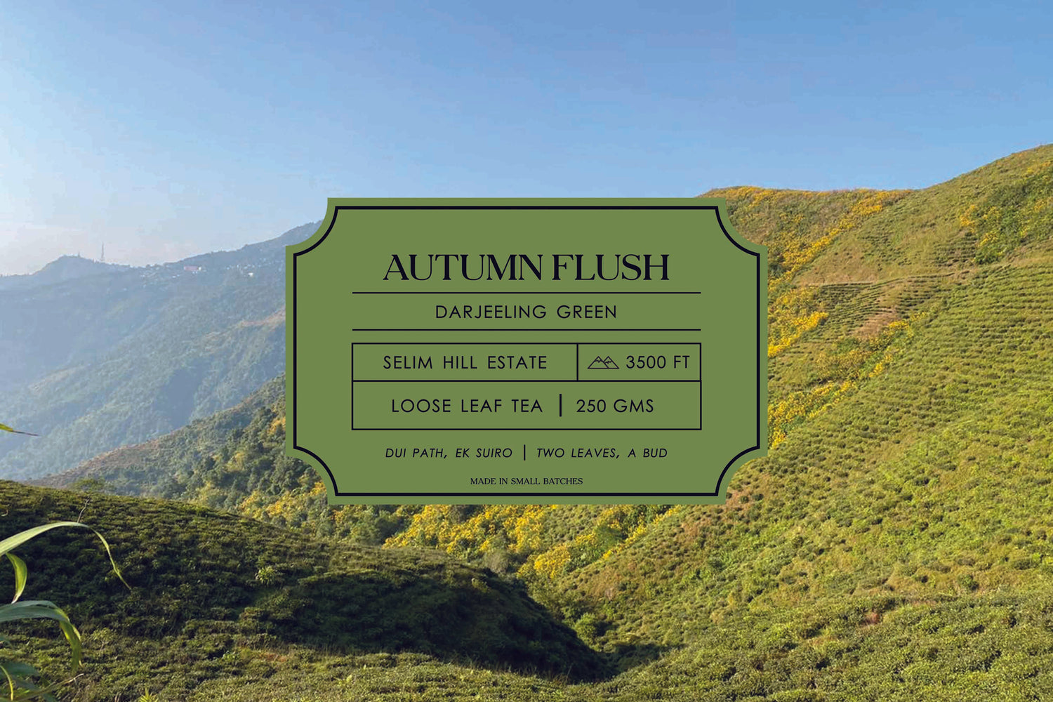 Autumn Flush – Green Tea