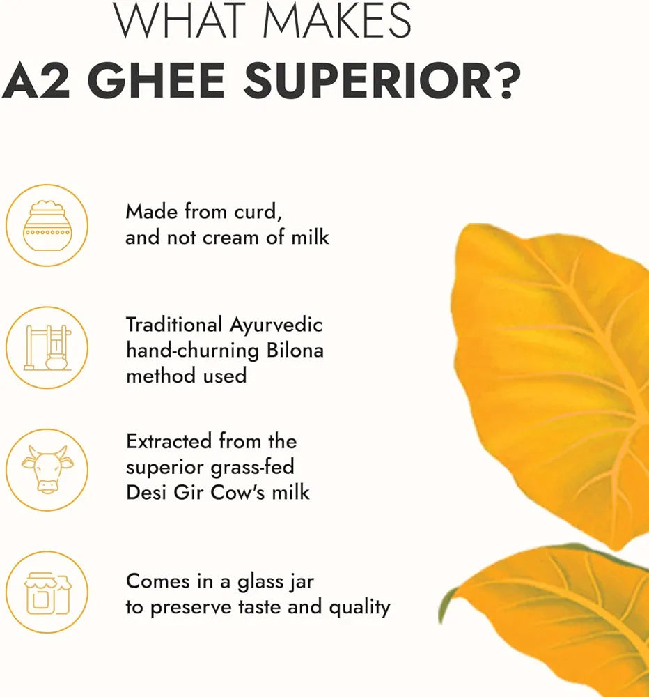 Kapiva A2 Desi Cow Ghee 500Ml | Bilona Method, Curd-Churned | Pure, Natural, Healthy | Grass-Fed Cultured Ghee - Super Saver Pack Of 2