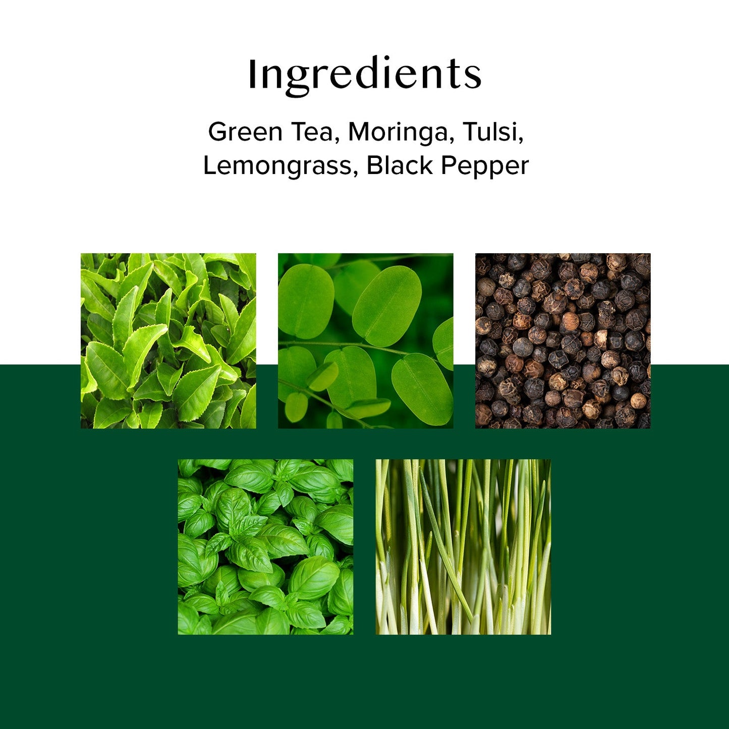 Moringa Tulsi Green Tea, 50 Count