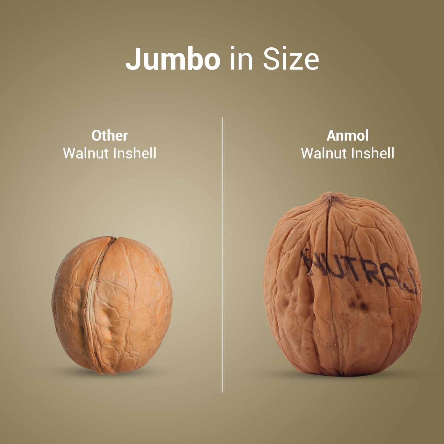 Nutraj Anmol Premium Walnut Inshell (Jumbo Size - Natural) 1kg