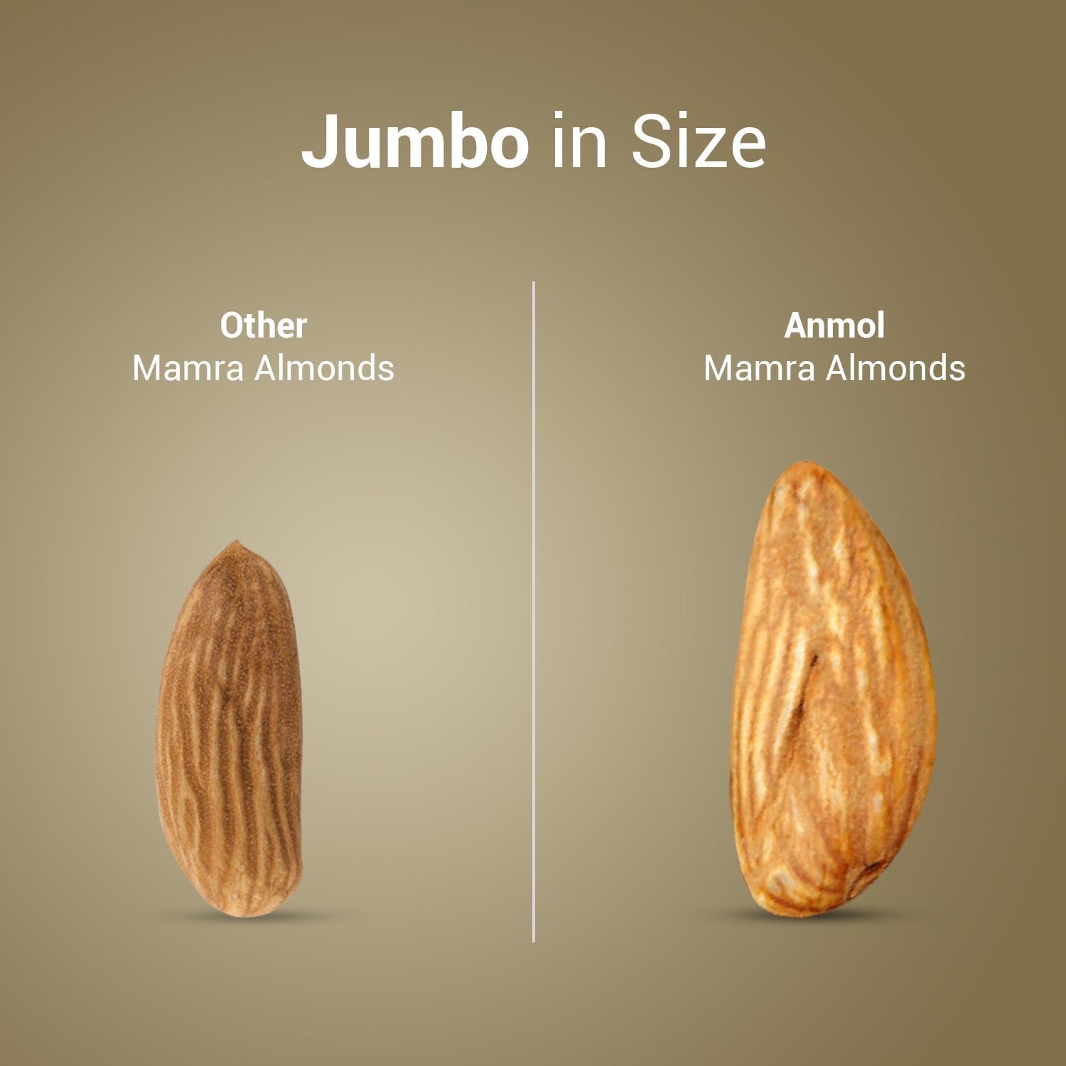 Nutraj Anmol Jumbo Size Mamra Almonds 500gm