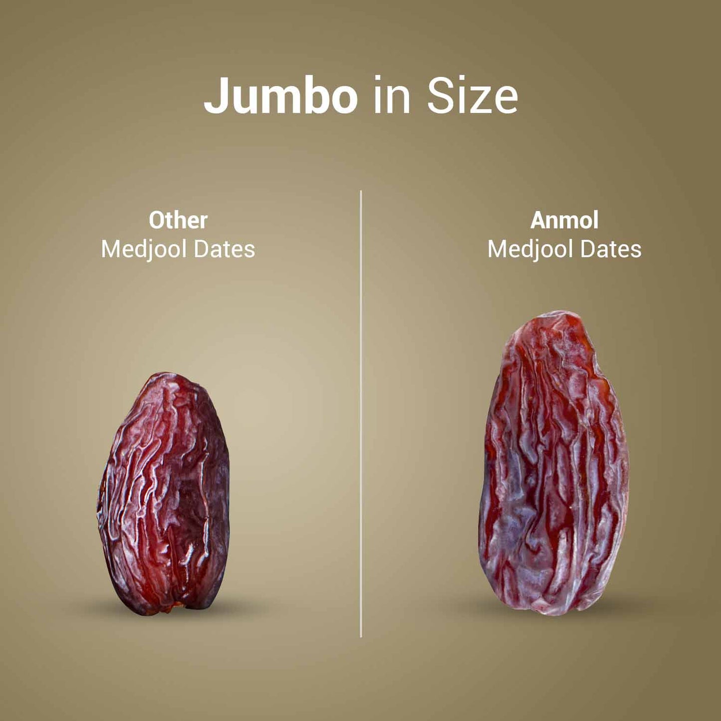 Nutraj Anmol Premium Medjool Dates (Jumbo Size - Rare Crop - Natural) 500gm