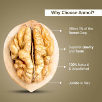 Nutraj Anmol Premium Walnut Kernel (Jumbo Size - Rare Crop - Natural) 500gm