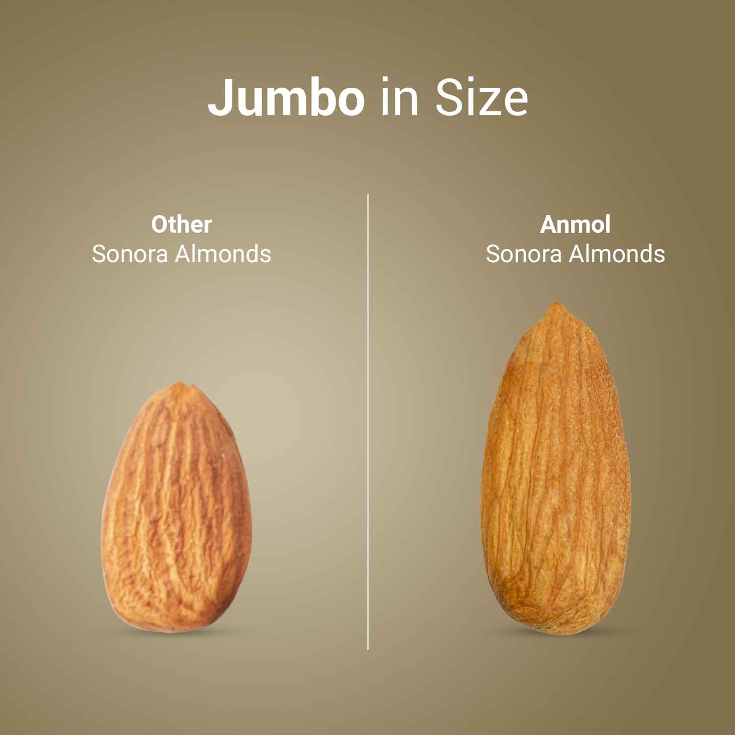 Nutraj Anmol Jumbo Size Sonora Almonds - 500 gms - Veeha Foods