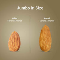 Nutraj Anmol Jumbo Size Sonora Almonds 500gm