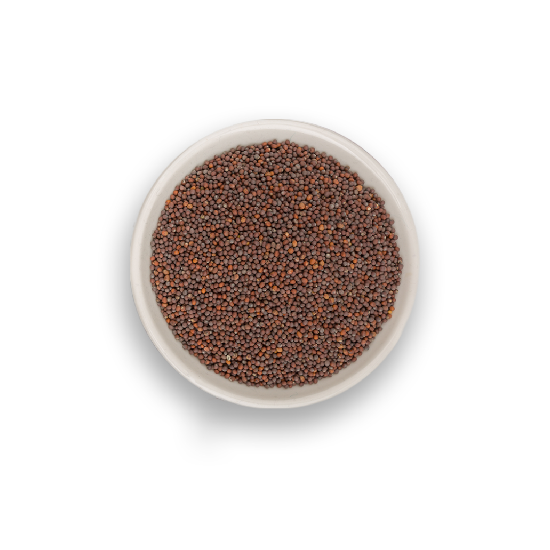 Organic Brown Mustard (Rai)