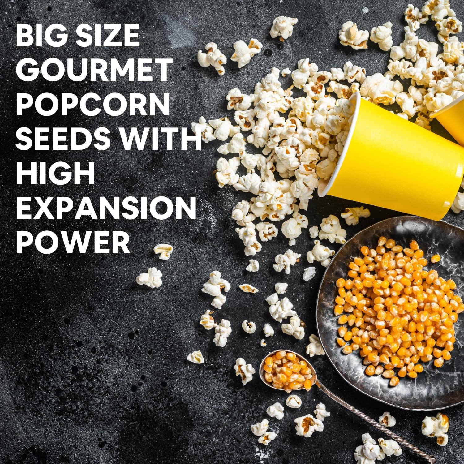 5:15PM Popcorn Kernel Seeds– Big Size Gourmet Pop Corn Kernels | High Expansion, A Grade Makkai Popcorn – 400g