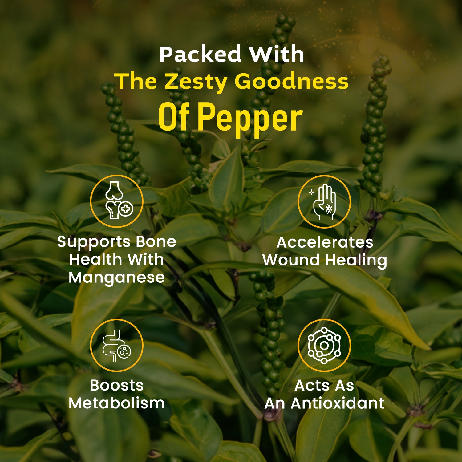 Swastik Black Pepper Powder - Veeha Foods