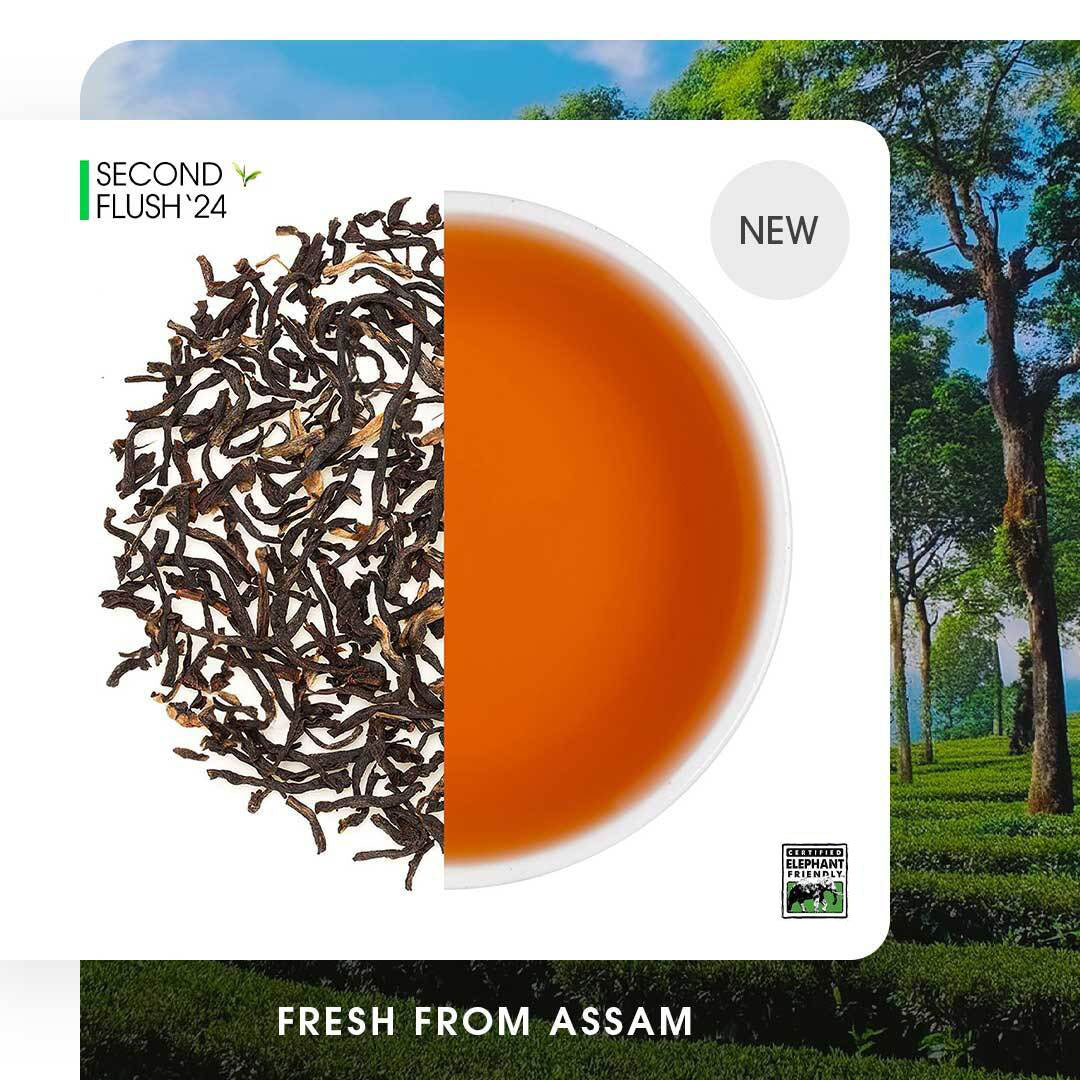 Assam Banaspaty Summer Black