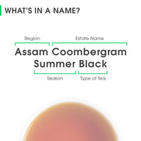 Assam Coombergram Summer Black