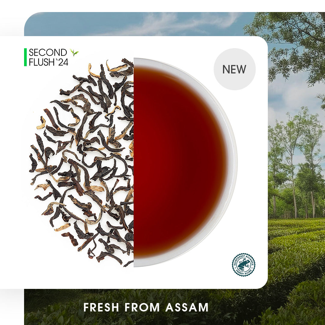 Assam Dejoo Summer Black