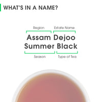 Assam Dejoo Summer Black