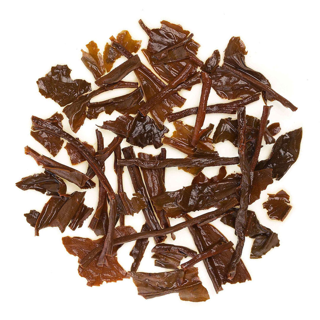 Assam Dinjoye Spring Black