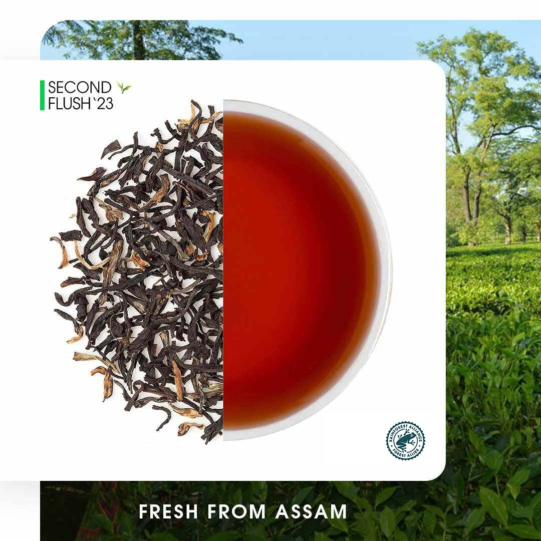 Assam Harmutty Summer Black