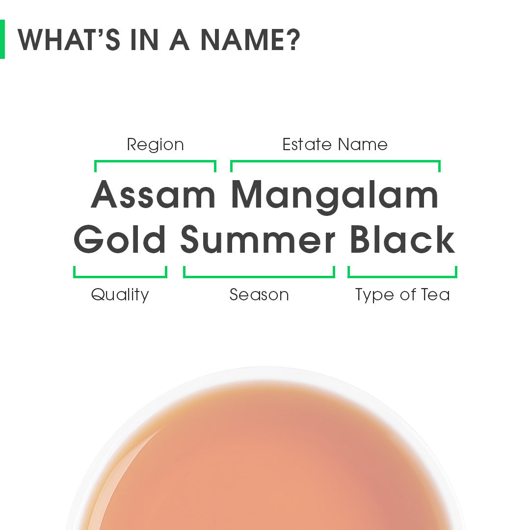 Assam Mangalam Gold Summer Black