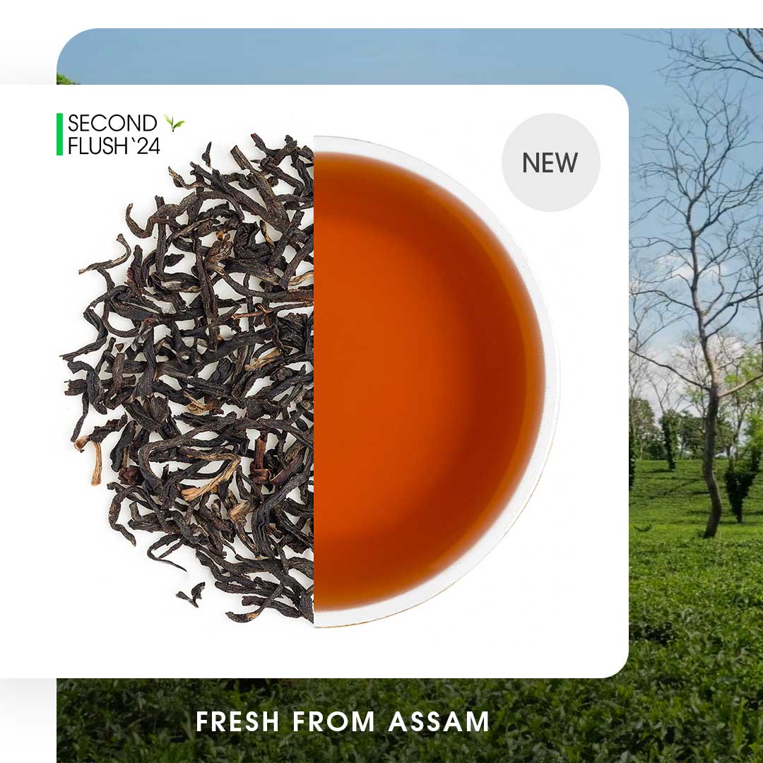 Assam Namsang Summer Black