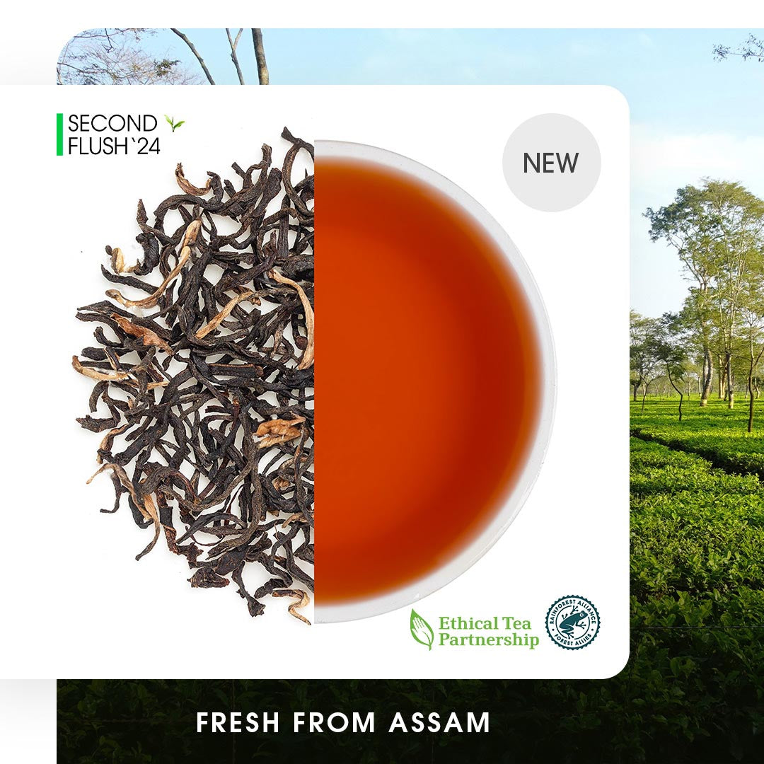 Assam Singlijan Summer Black