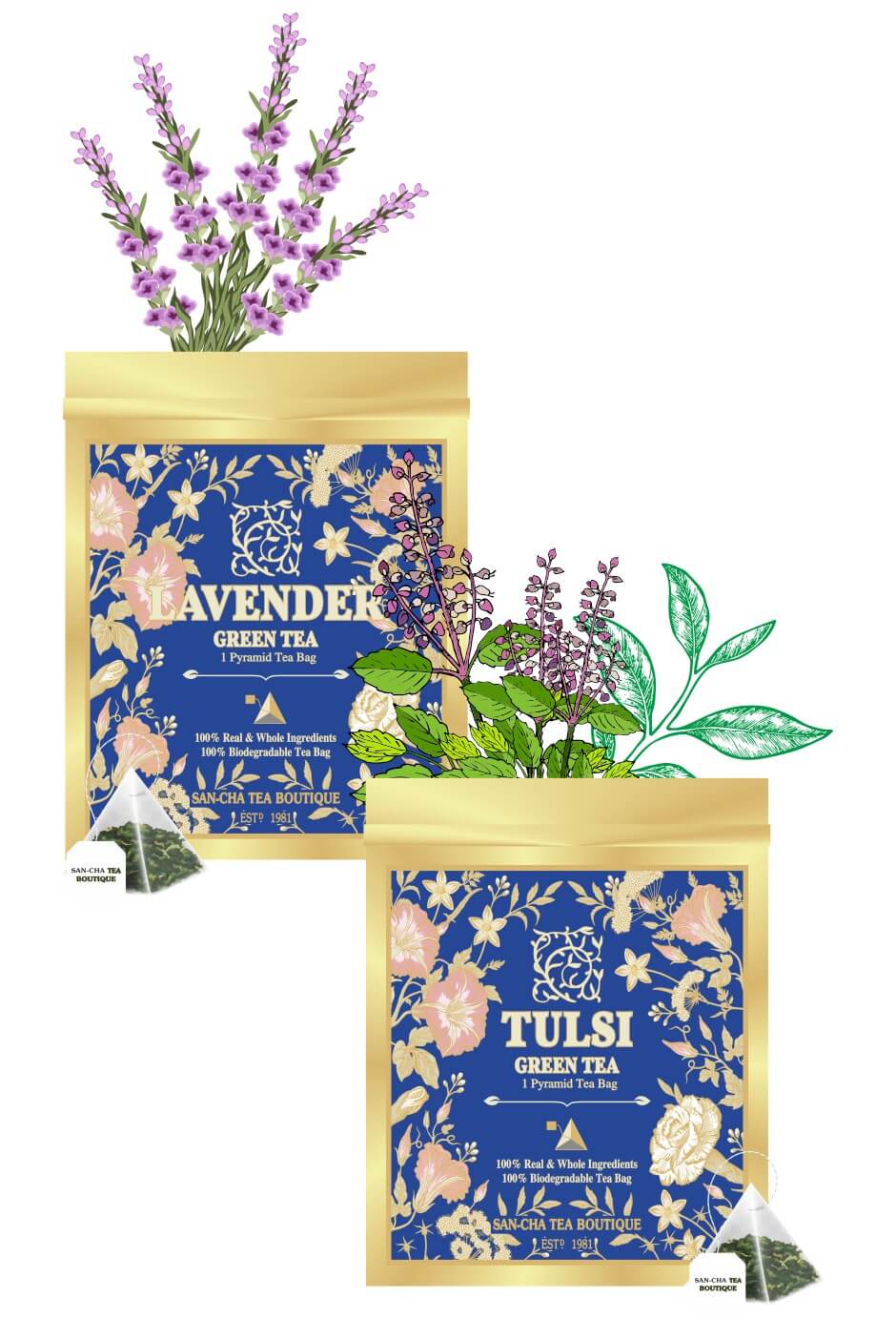 Botanical Collection Tea Sampler Box - 16 Assorted Tea Bags