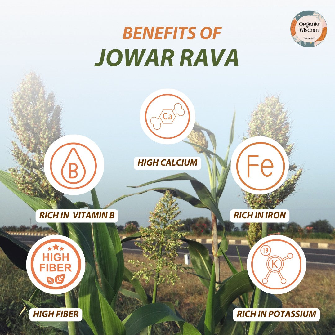 Jowar (Jonna/Sorghum) Rava