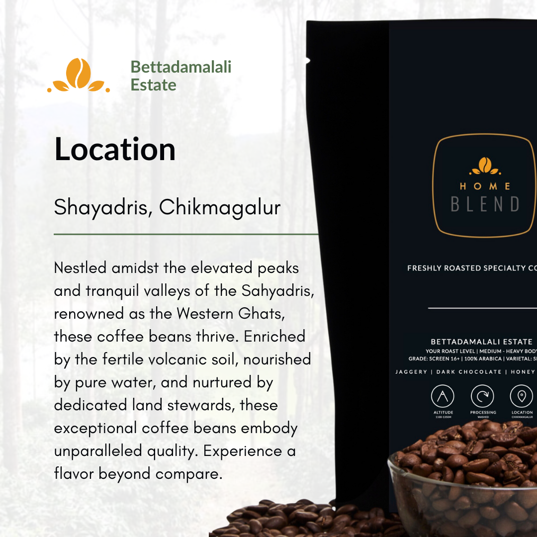 Ground Coffee - Bettadamalali Estate - Pack of 250g