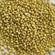 Nutty Yogi Organic Browntop Millet Flour