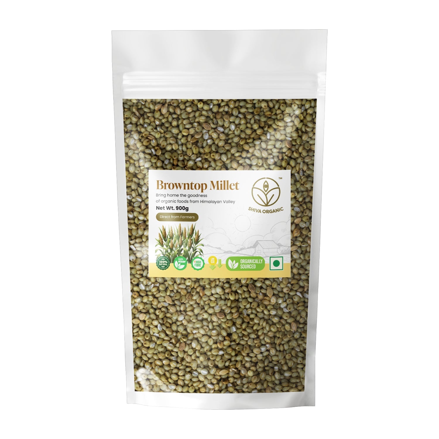 Browntop Millet