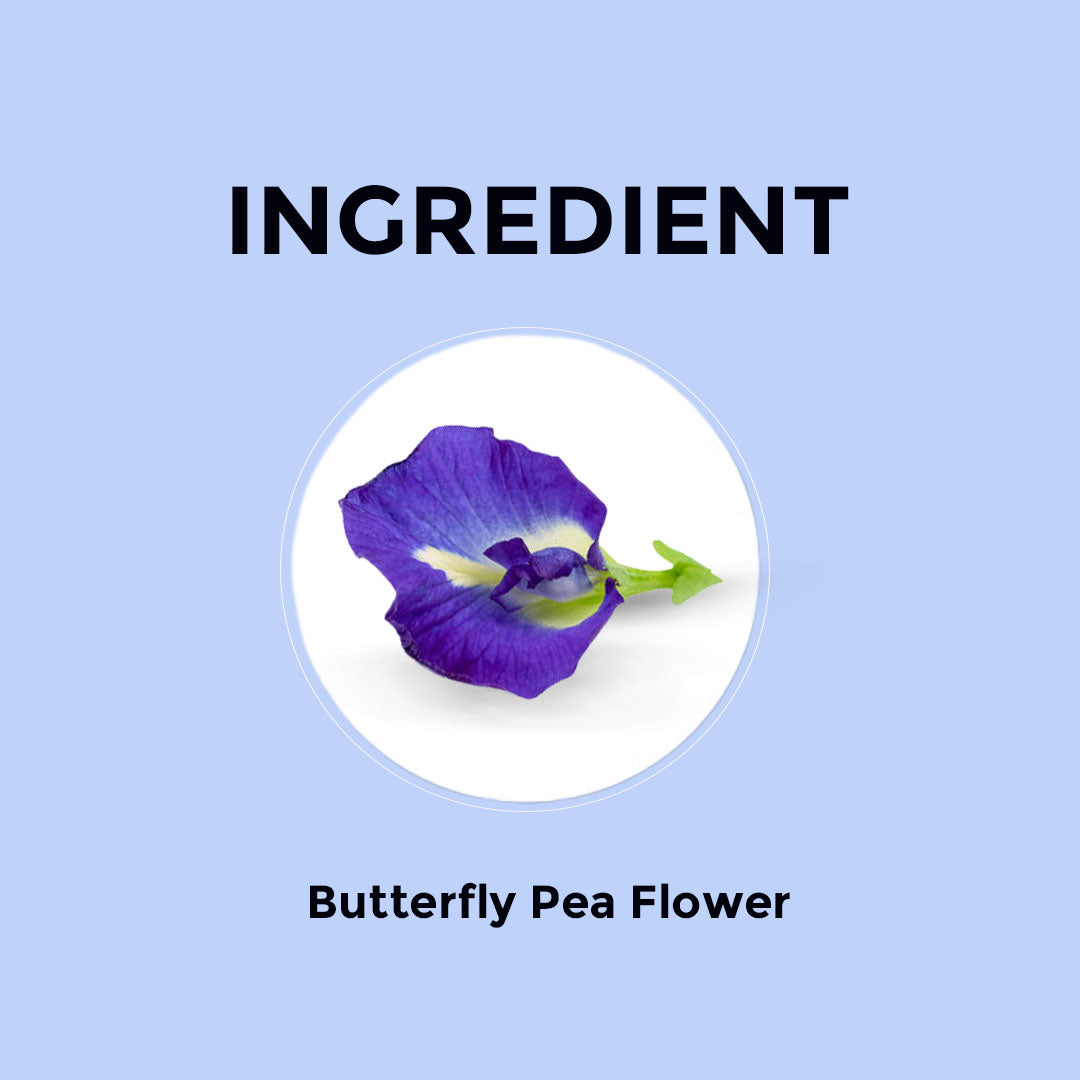 Butterfly Pea Flower Herbal Infusion - 200 Teabags