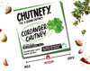 Chutnefy Coriander Chutney - Pack of 2