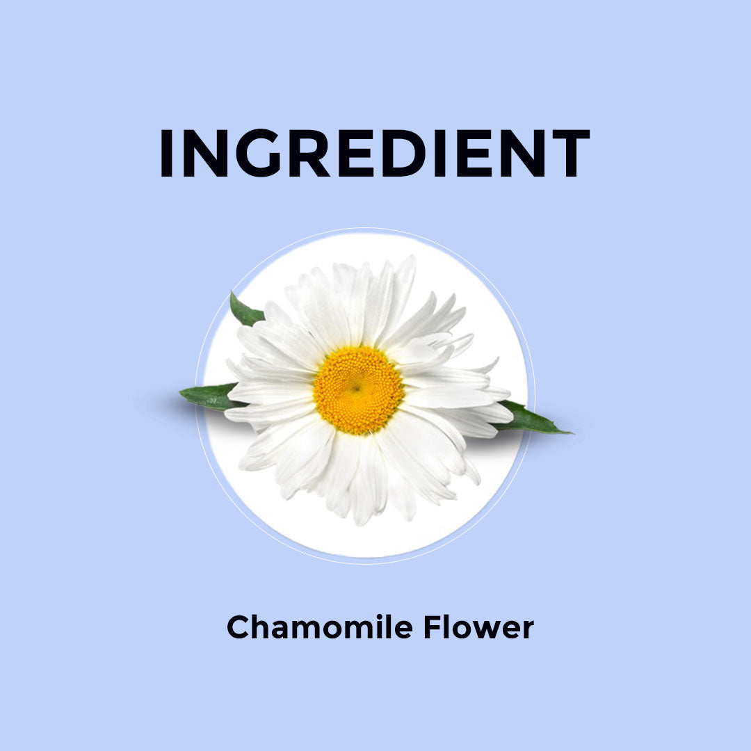 Chamomile Flower Herbal Infusion - 100g (100 Cups)