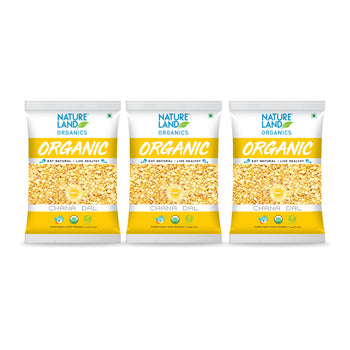 Organic Chana Dal 500 gm - Pack of 3