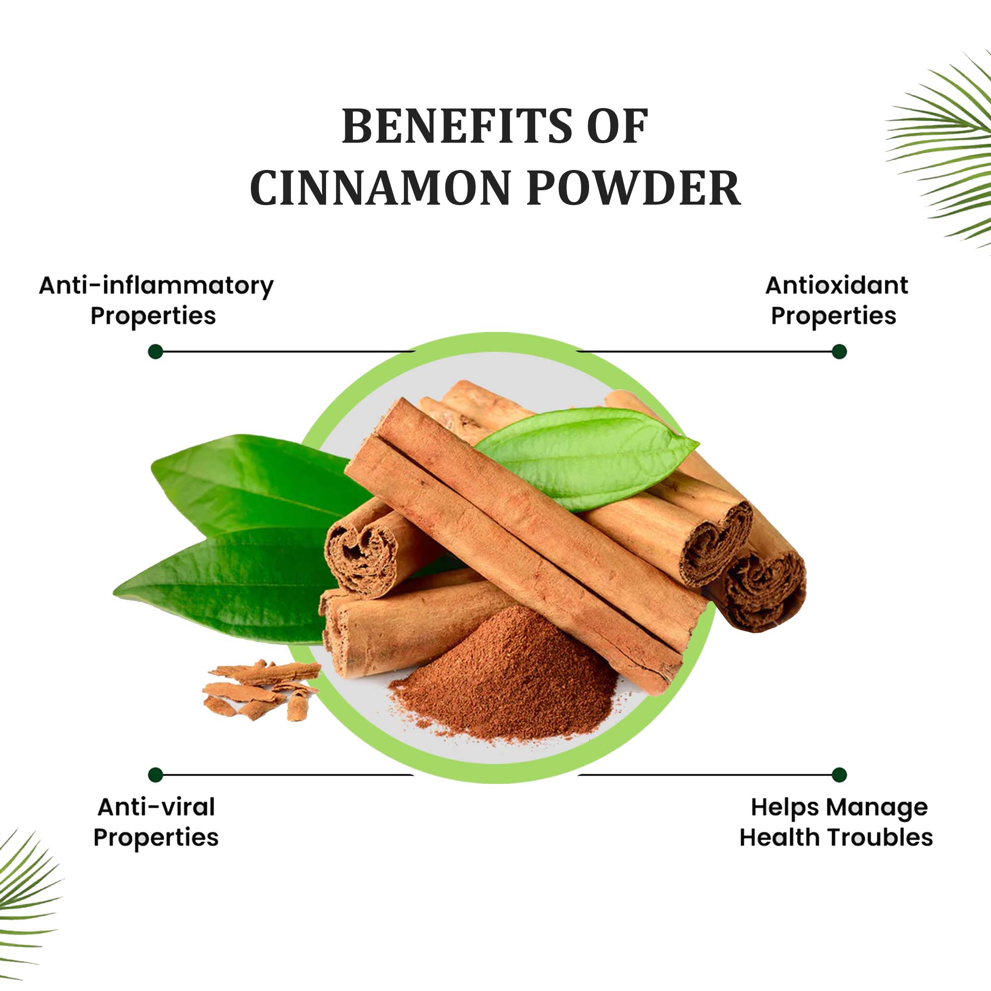 Natureland Organic Cinnamon Powder - 100 gms - Veeha Foods