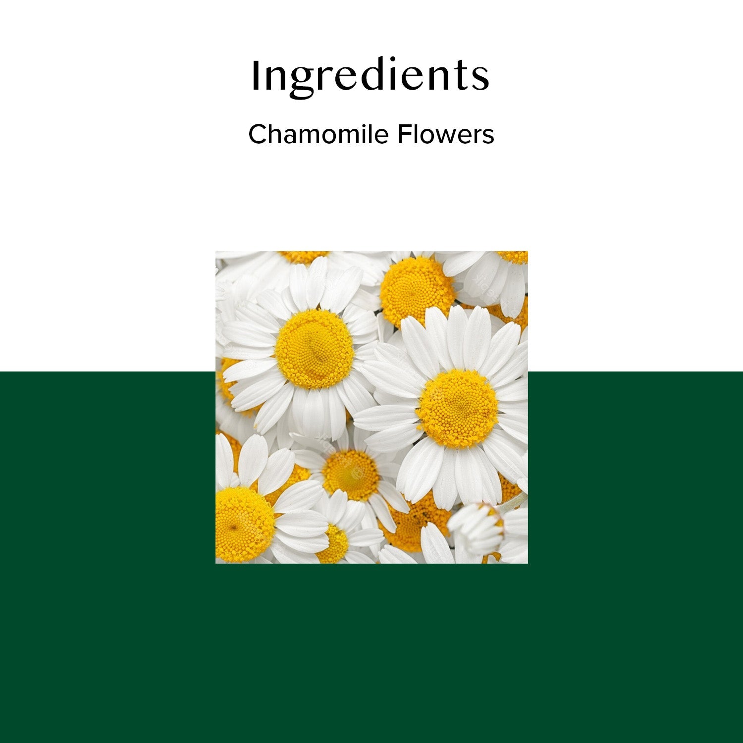 Classic Chamomile Herbal Tea Tisane, 15 Count