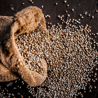 Nutty Yogi Organic Pearl Millet / Bajra