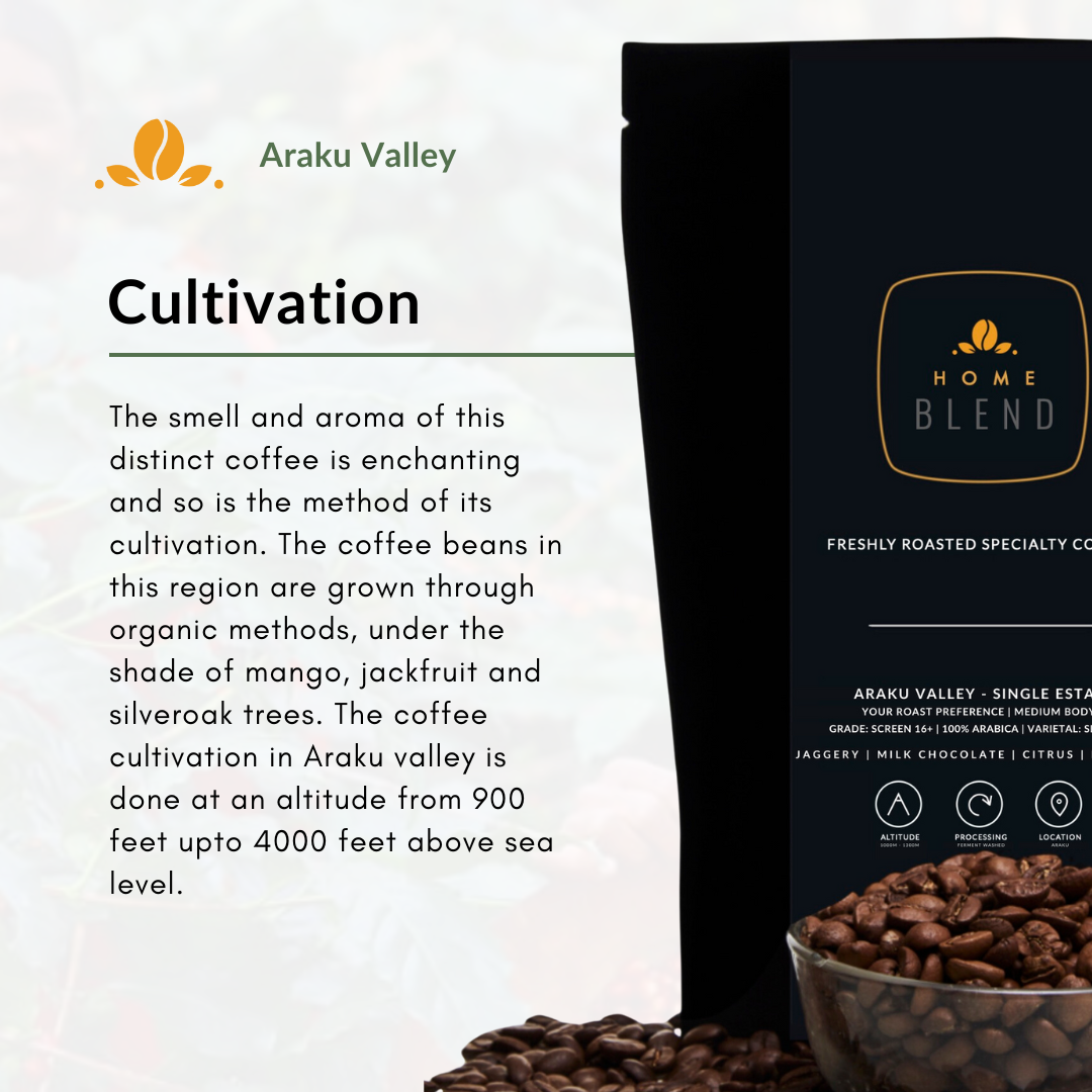 Ground Coffee - Araku Valley - Pack of 250g