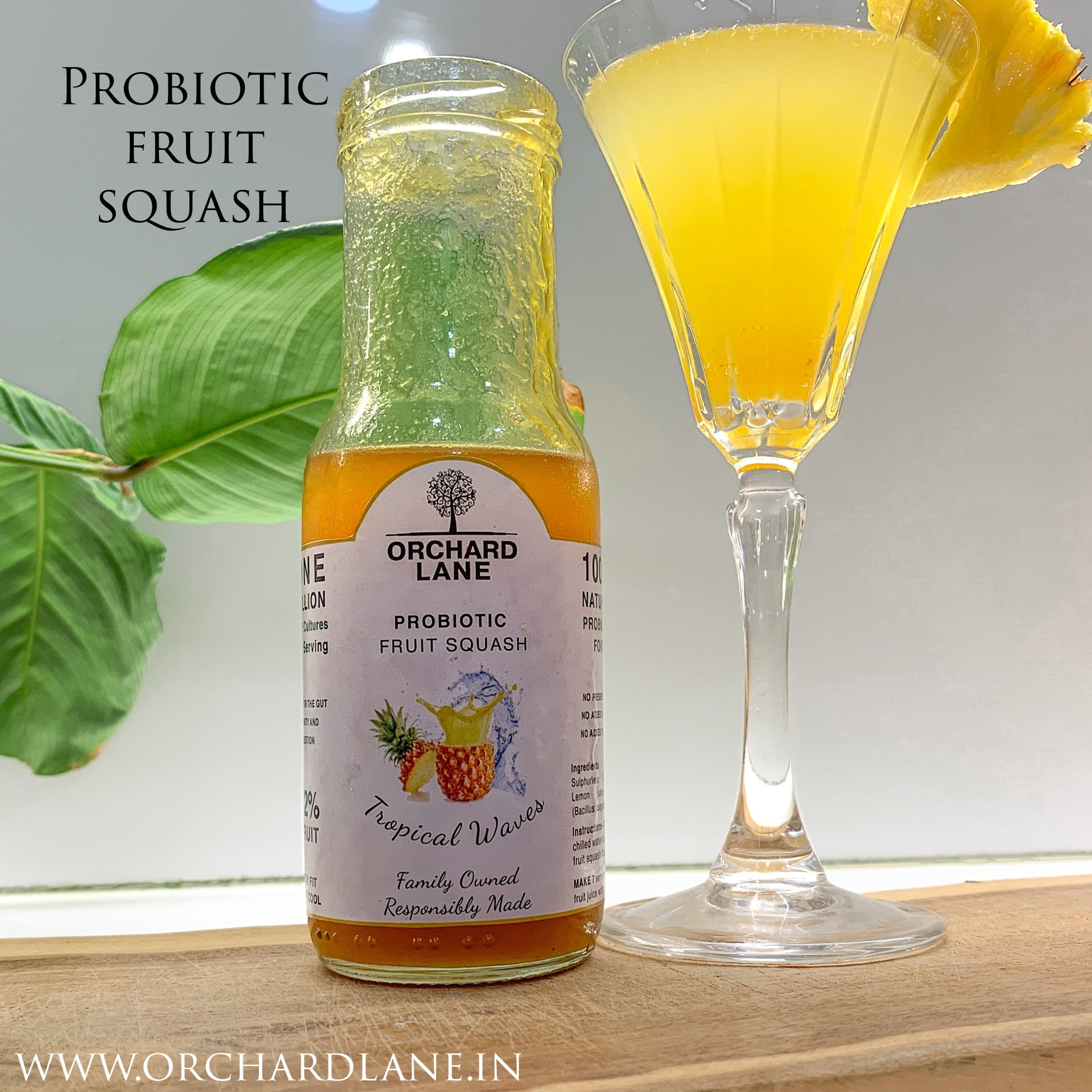 Probiotic Pineapple Squash- Tropical Waves