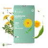 Teabox Dandelion Green - 100 gms