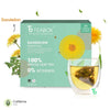 Teabox Dandelion Green - Teabag