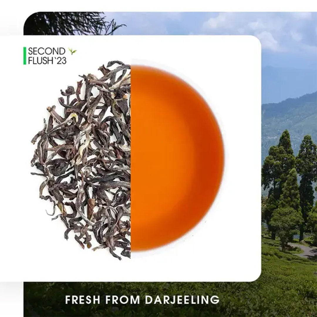 Darjeeling Ambootia Summer Clonal Black