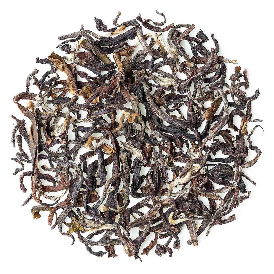 Darjeeling Ambootia Summer Clonal Black