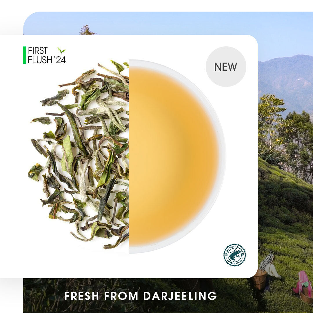 Darjeeling Balasun Spring Clonal Black