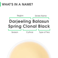 Darjeeling Balasun Spring Clonal Black