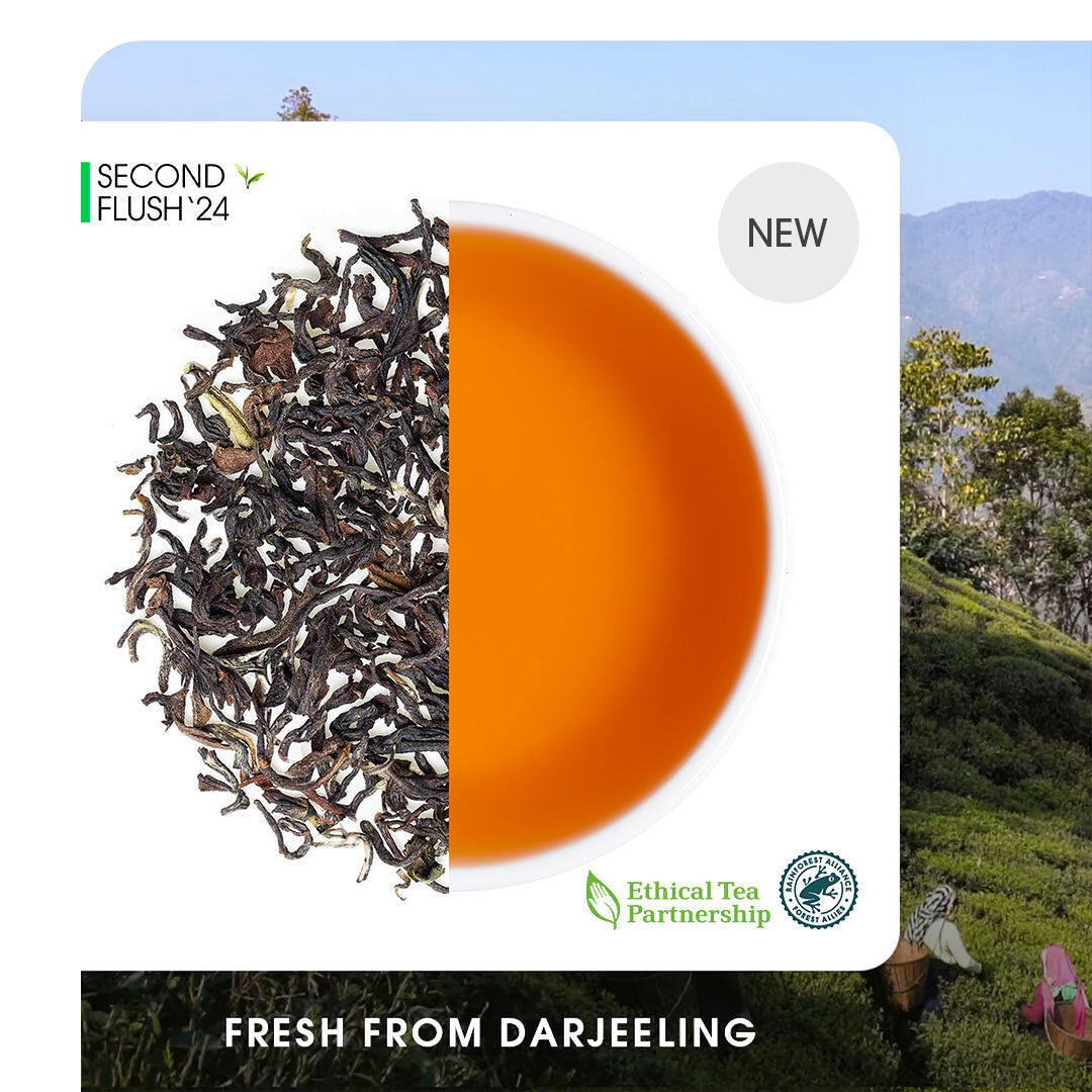 Darjeeling Balasun Summer Chinary Black